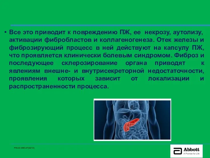 Все это приводит к повреждению ПЖ, ее некрозу, аутолизу, активации фибробластов