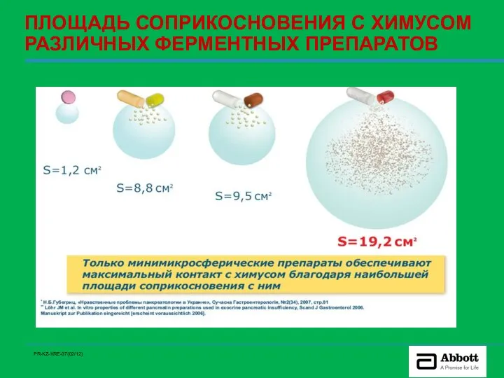 ПЛОЩАДЬ СОПРИКОСНОВЕНИЯ С ХИМУСОМ РАЗЛИЧНЫХ ФЕРМЕНТНЫХ ПРЕПАРАТОВ