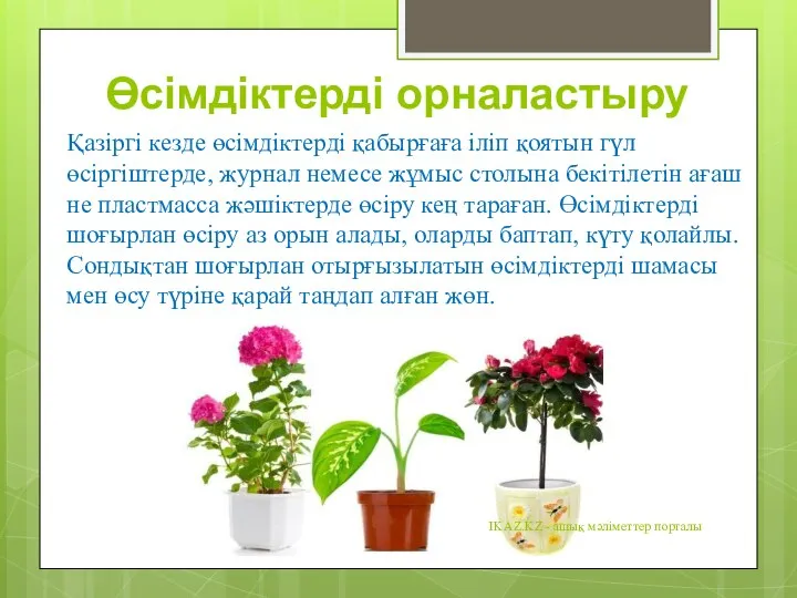 Өсімдіктерді орналастыру Қазіргі кезде өсімдіктерді қабырғаға іліп қоятын гүл өсіргіштерде, журнал