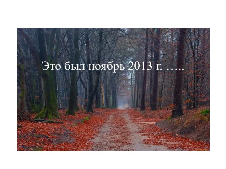 Это был ноябрь 2013 г. …..