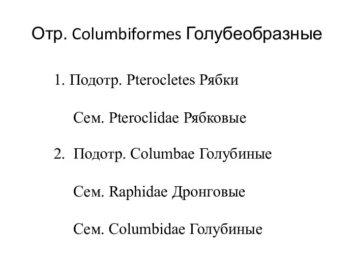 Отр. Columbiformes Голубеобразные 1. Подотр. Pterocletes Рябки Сем. Pteroclidae Рябковые 2.