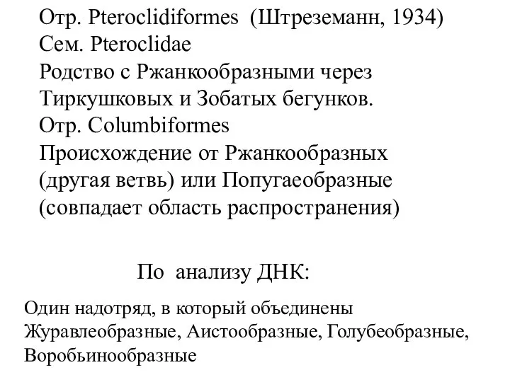 Отр. Pteroclidiformes (Штреземанн, 1934) Сем. Pteroclidae Родство с Ржанкообразными через Тиркушковых