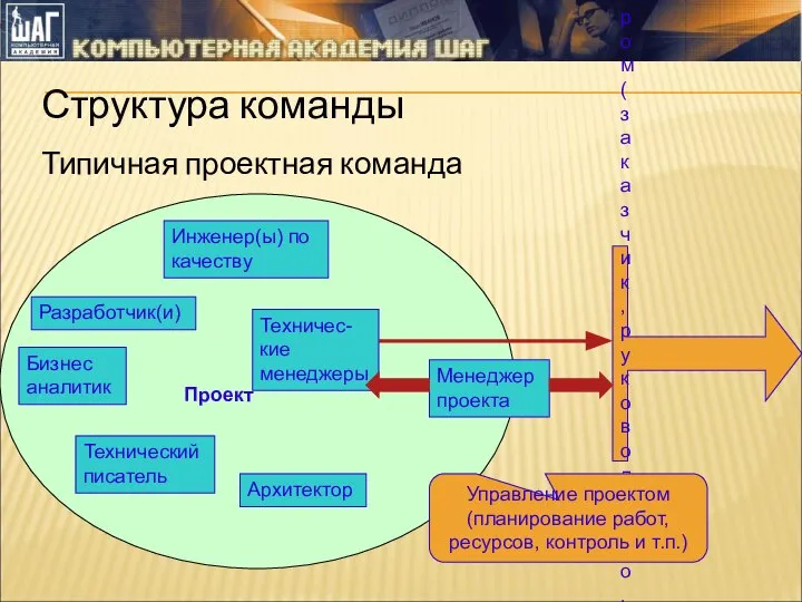 Структура команды Типичная проектная команда