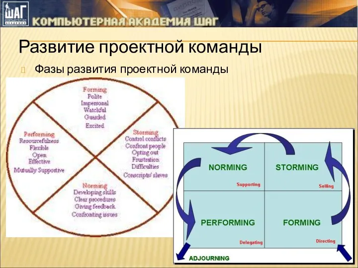 Развитие проектной команды Фазы развития проектной команды