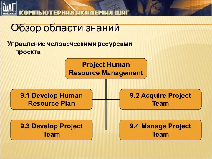 Управление человеческими ресурсами проекта Обзор области знаний