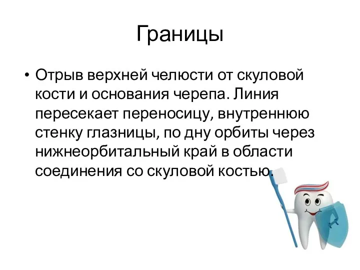 Границы Отрыв верхней челюсти от скуловой кости и основания черепа. Линия