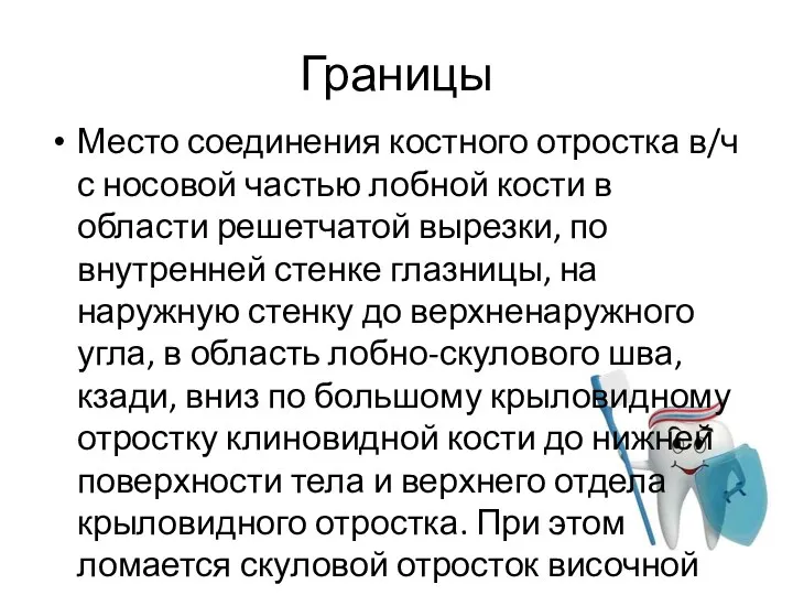 Границы Место соединения костного отростка в/ч с носовой частью лобной кости