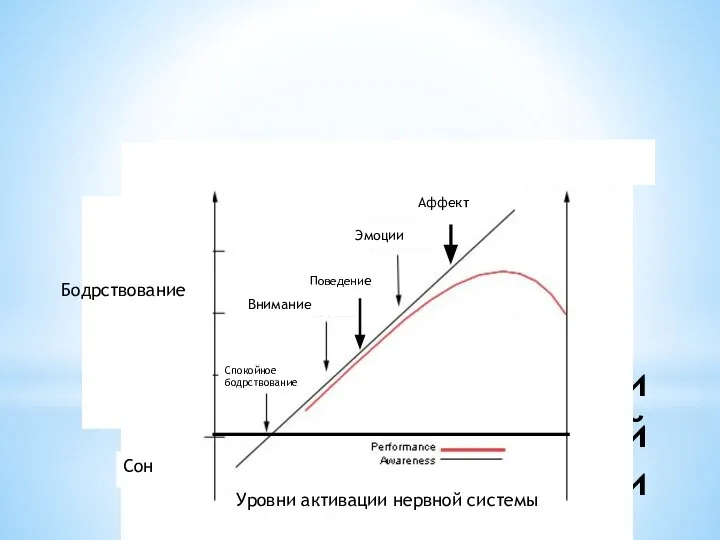 Уровни активации психической деятельности Эмоции Внимание Спокойное бодрствование Сон Уровни активации нервной системы Поведение Аффект Бодрствование