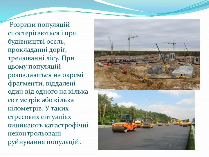 Розриви популяцій спостерігаються і при будівництві осель, прокладанні доріг, трелюванні лісу.