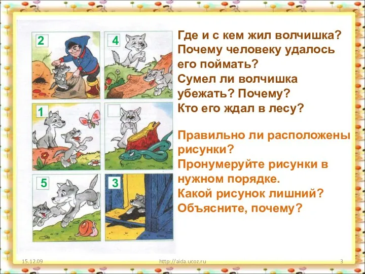 15.12.09 http://aida.ucoz.ru Где и с кем жил волчишка? Почему человеку удалось