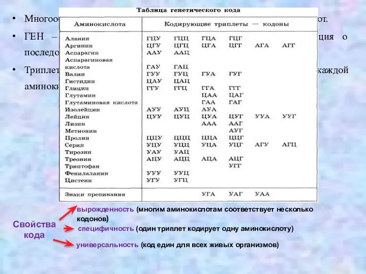 Многообразие белков определяется последовательность аминокислот. ГЕН – это участок ДНК в