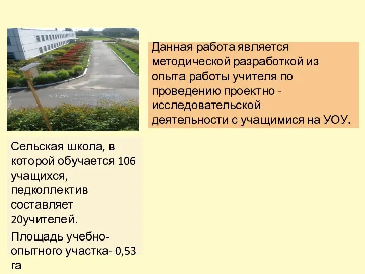 Данная работа является методической разработкой из опыта работы учителя по проведению