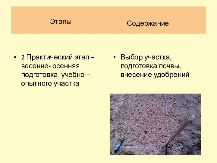 Этапы 2 Практический этап – весенне- осенняя подготовка учебно – опытного