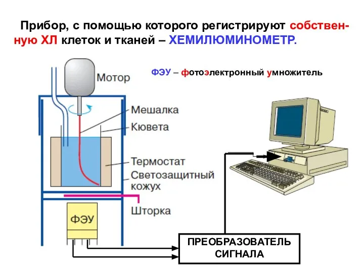 Прибор, с помощью которого регистрируют собствен- ную ХЛ клеток и тканей