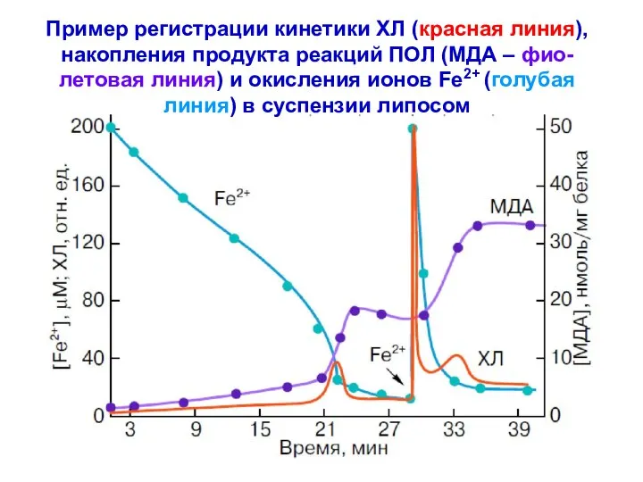 Пример регистрации кинетики ХЛ (красная линия), накопления продукта реакций ПОЛ (МДА