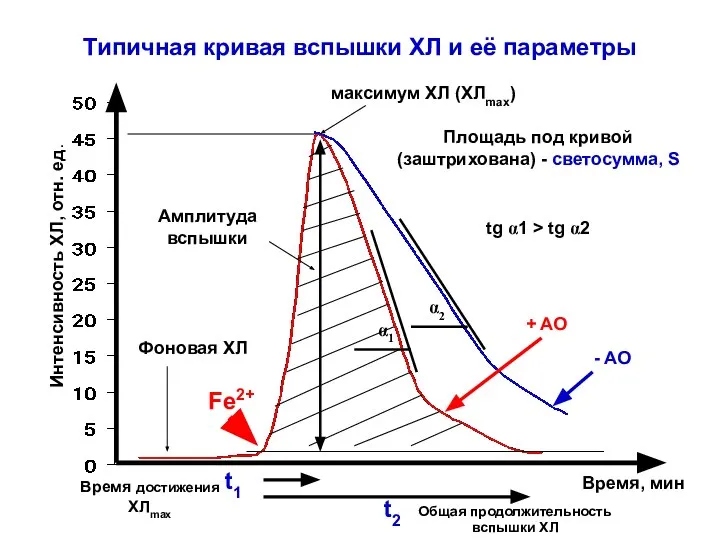 Типичная кривая вспышки ХЛ и её параметры Интенсивность ХЛ, отн. ед.