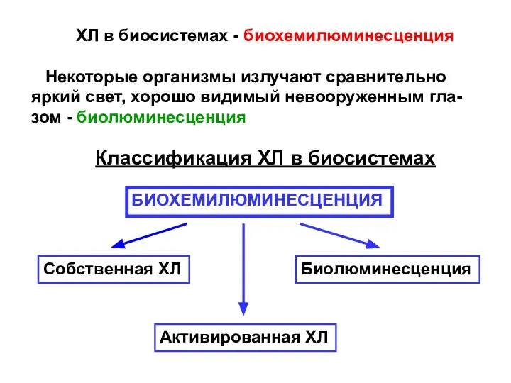 ХЛ в биосистемах - биохемилюминесценция Некоторые организмы излучают сравнительно яркий свет,