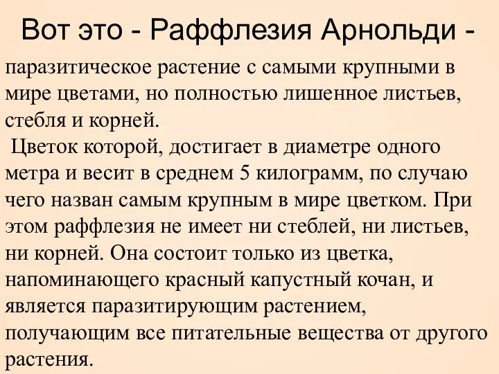 Вот это - Раффлезия Арнольди - паразитическое растение с самыми крупными