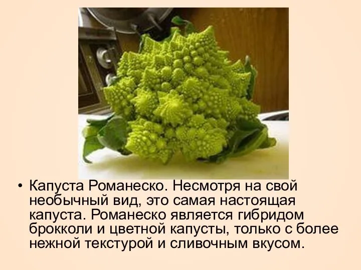 Капуста Романеско. Несмотря на свой необычный вид, это самая настоящая капуста.