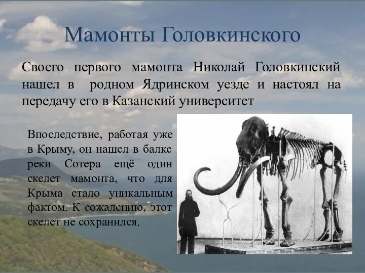 Мамонты Головкинского Своего первого мамонта Николай Головкинский нашел в родном Ядринском