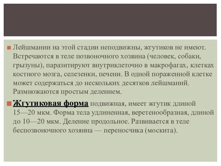 Лейшмании на этой стадии неподвижны, жгутиков не имеют. Встречаются в теле