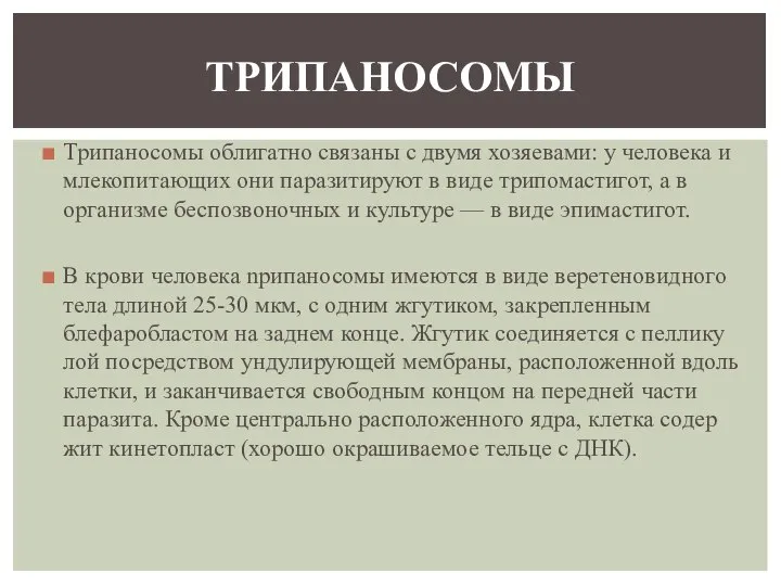 Трипаносомы облигатно связаны с двумя хозяевами: у че­ловека и млекопитающих они