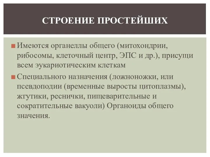 Имеются органеллы общего (митохондрии, рибосомы, клеточный центр, ЭПС и др.), присущи