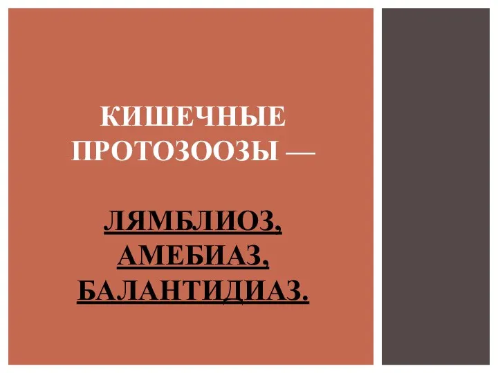 КИШЕЧНЫЕ ПРОТОЗООЗЫ — ЛЯМБЛИОЗ, АМЕБИАЗ, БАЛАНТИДИАЗ.