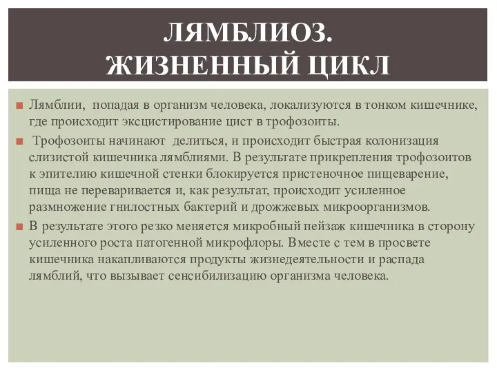 Лямблии, попадая в организм человека, локализуются в тонком кишечнике, где происходит