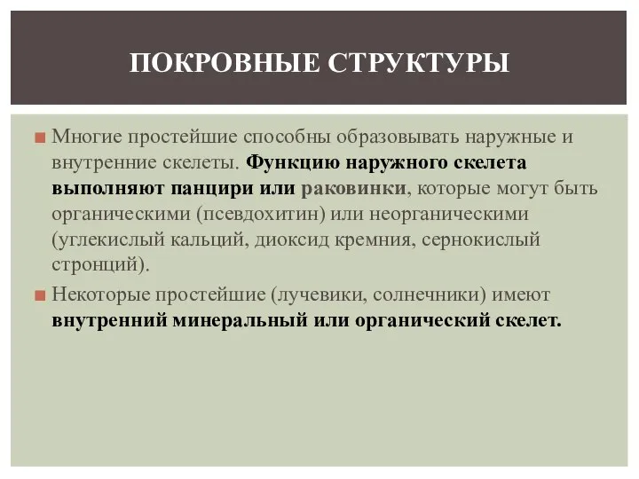 Многие простейшие способны образовывать наружные и внутренние скелеты. Функцию наружного скелета