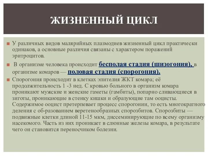 У различных видов малярийных плазмодиев жизненный цикл практически одинаков, а основные