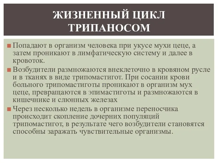 Попадают в организм человека при укусе мухи цеце, а затем проникают