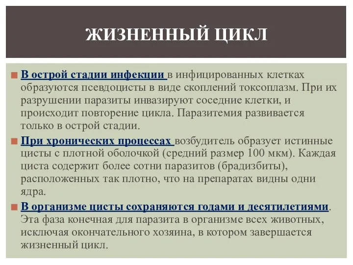 В острой стадии инфекции в инфицированных клетках образуются псевдоцисты в виде