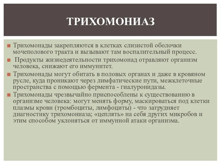 Трихомонады закрепляются в клетках слизистой оболочки мочеполового тракта и вызывают там