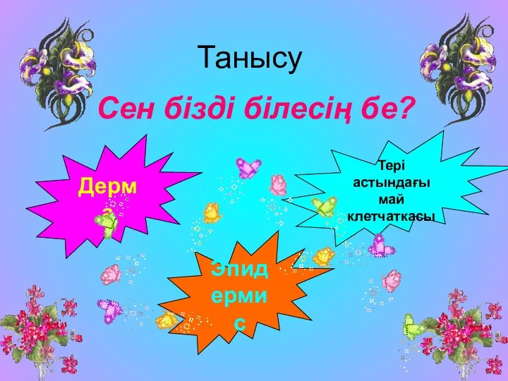 Танысу Сен бізді білесің бе? Дерма Эпидермис Тері астындағы май клетчаткасы