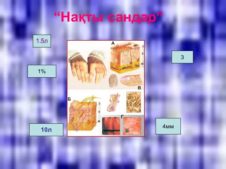 “Нақты сандар” 1.5л 10л 1% 4мм 3