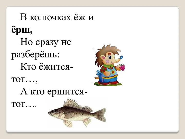 В колючках ёж и ёрш, Но сразу не разберёшь: Кто ёжится- тот…, А кто ершится- тот….