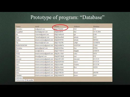 Prototype of program: “Database”