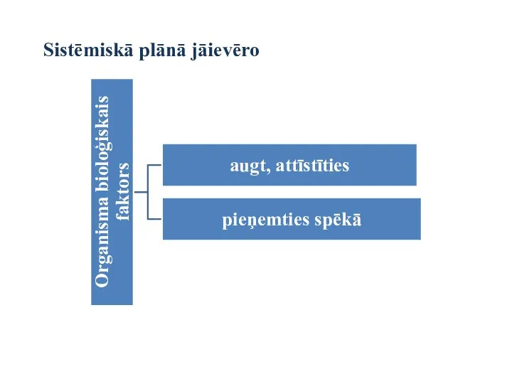 Sistēmiskā plānā jāievēro