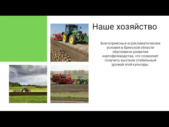Наше хозяйство Благоприятные агроклиматические условия в Брянской области обусловили развитие картофелеводства,