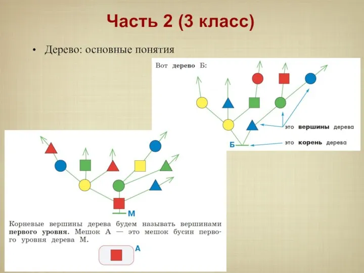 Дерево: основные понятия Часть 2 (3 класс)