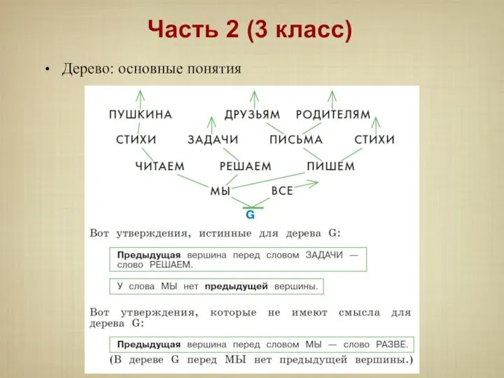 Дерево: основные понятия Часть 2 (3 класс)