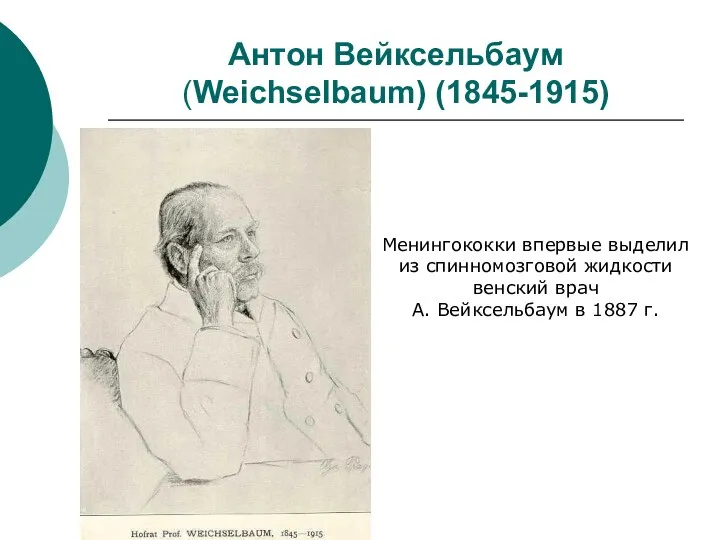 Антон Вейксельбаум (Weichselbaum) (1845-1915) Менингококки впервые выделил из спинномозговой жидкости венский