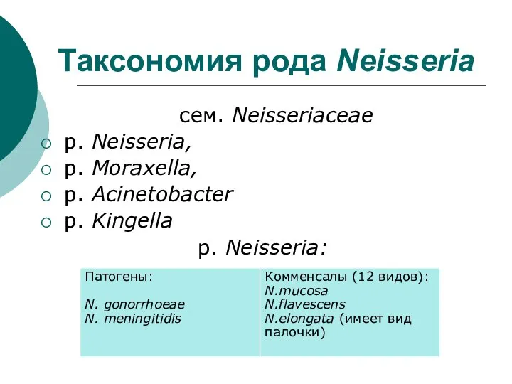 Таксономия рода Neisseria сем. Neisseriaceae р. Neisseria, р. Moraxella, р. Acinetobacter р. Kingella р. Neisseria: