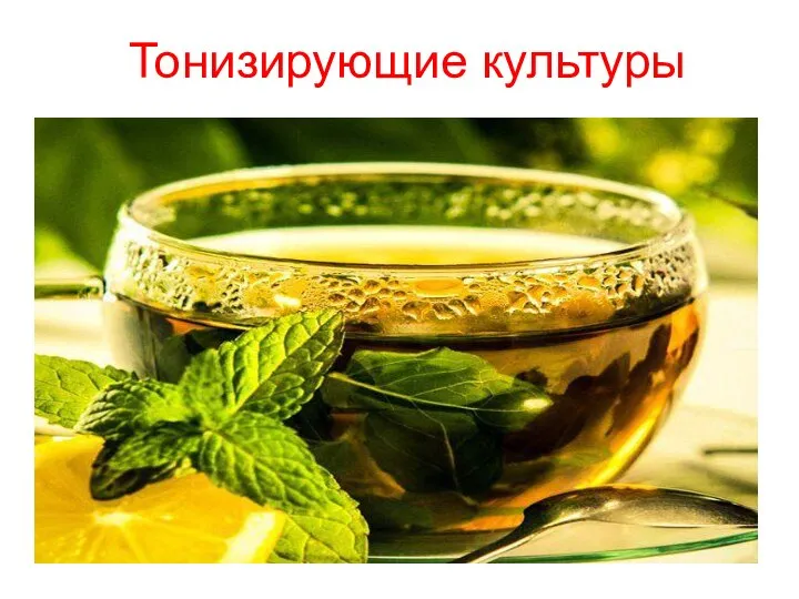 Тонизирующие культуры