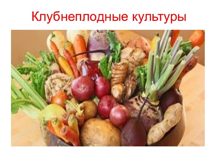 Клубнеплодные культуры