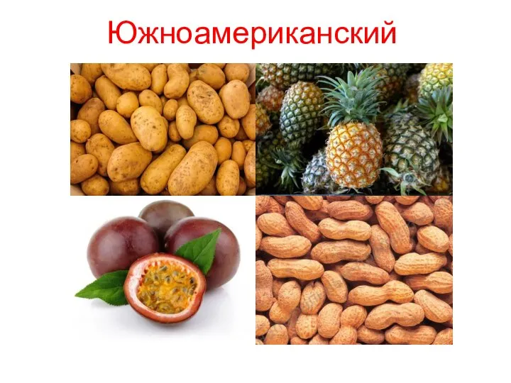 Южноамериканский