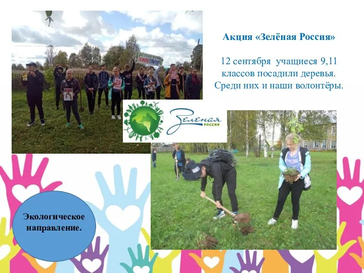 Акция «Зелёная Россия» 12 сентября учащиеся 9,11 классов посадили деревья. Среди них и наши волонтёры.