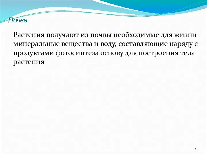 Растения получают из почвы необходимые для жизни минеральные вещества и воду,