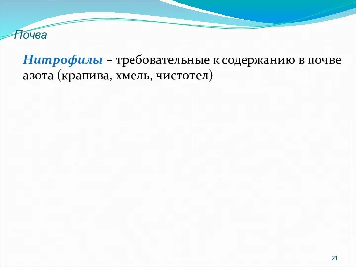 Нитрофилы – требовательные к содержанию в почве азота (крапива, хмель, чистотел) Почва